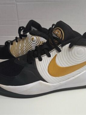 Nike (Kids) Team Hustle D9
Black Metallic Gold Basketball
Shoes